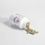 I Am Focused - Ginkgo Biloba + Ginseng for Focus and Clarity