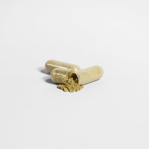 I Am Focused - Ginkgo Biloba + Ginseng for Focus and Clarity